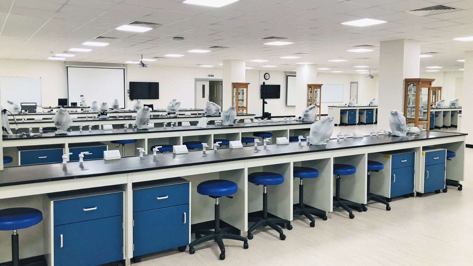 Laboratorio 3