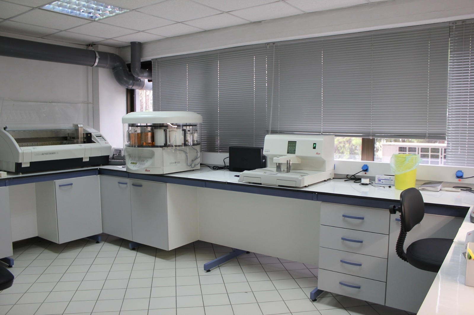 Laboratorio 1