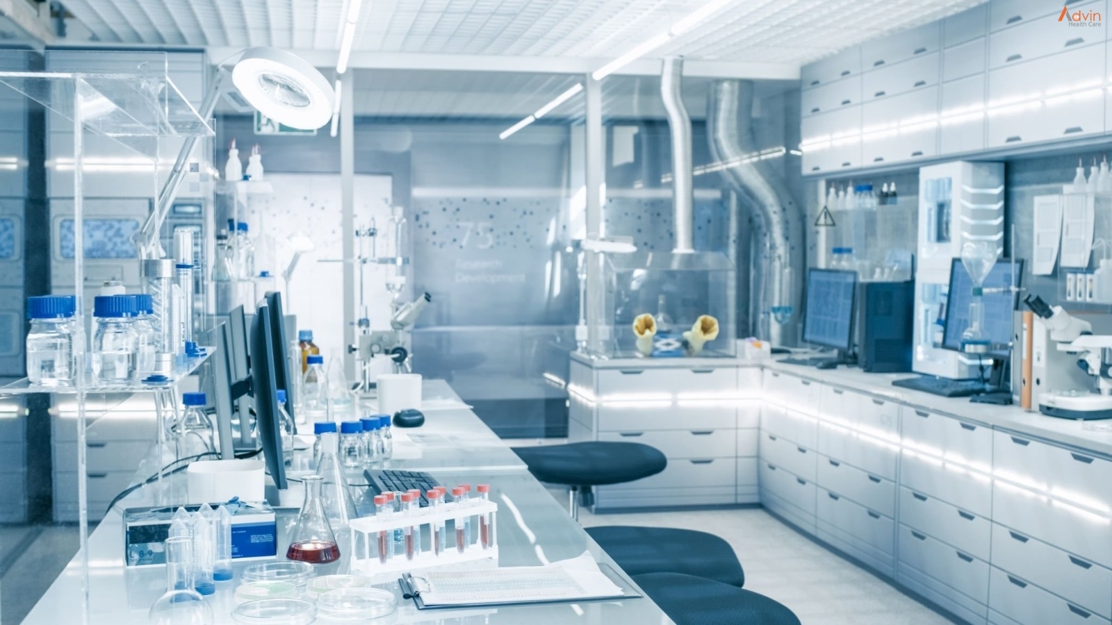 Laboratorio 2