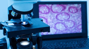 Laboratorio 7